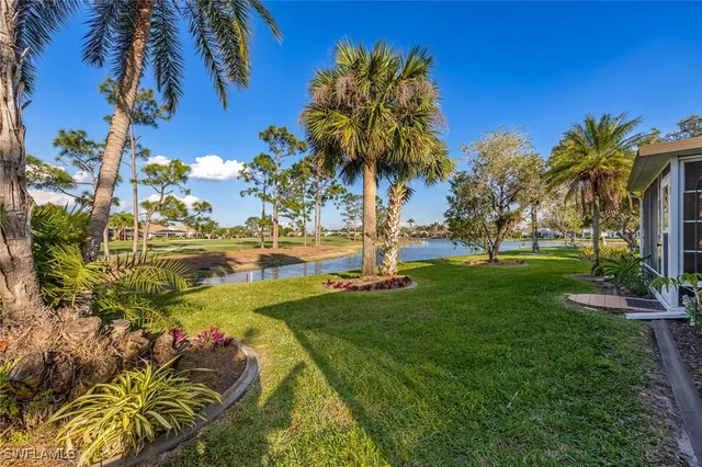 a view of a yard with a palm tree