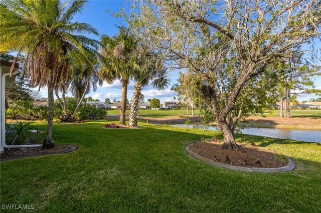 a view of a garden with palm trees