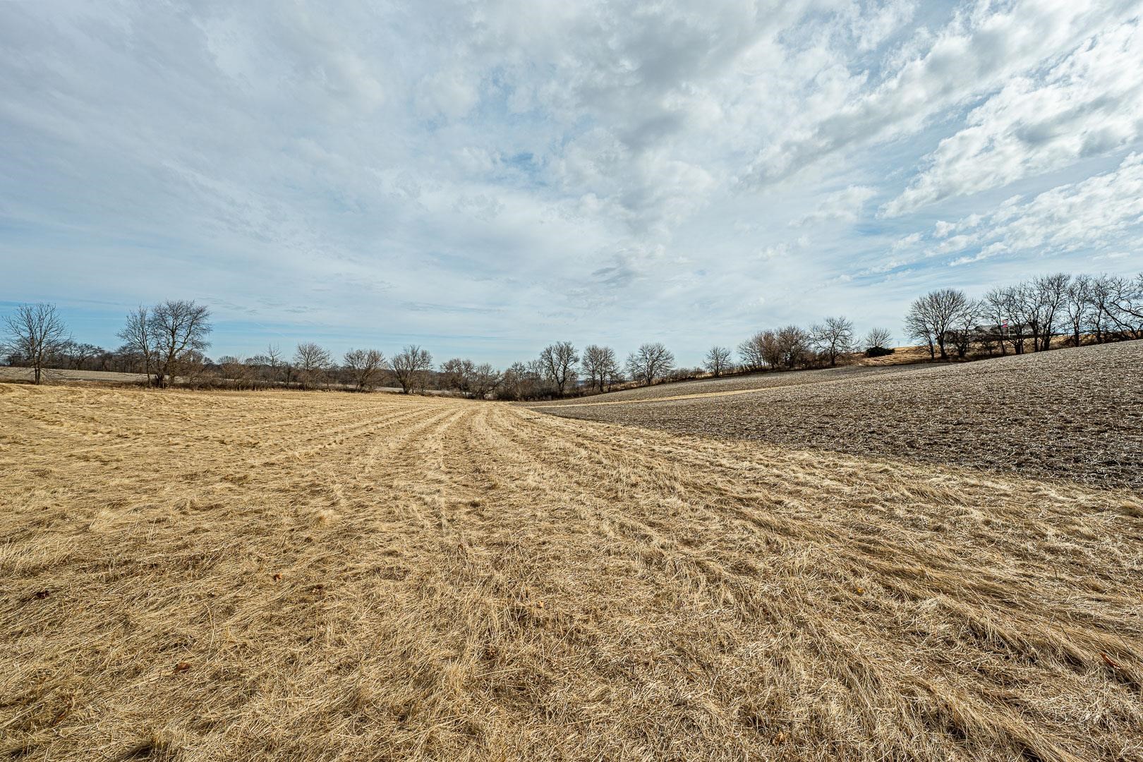 Lot 9 7.00 Acres Deerfield Monroe, WI 53566 - Photo 11 of 29