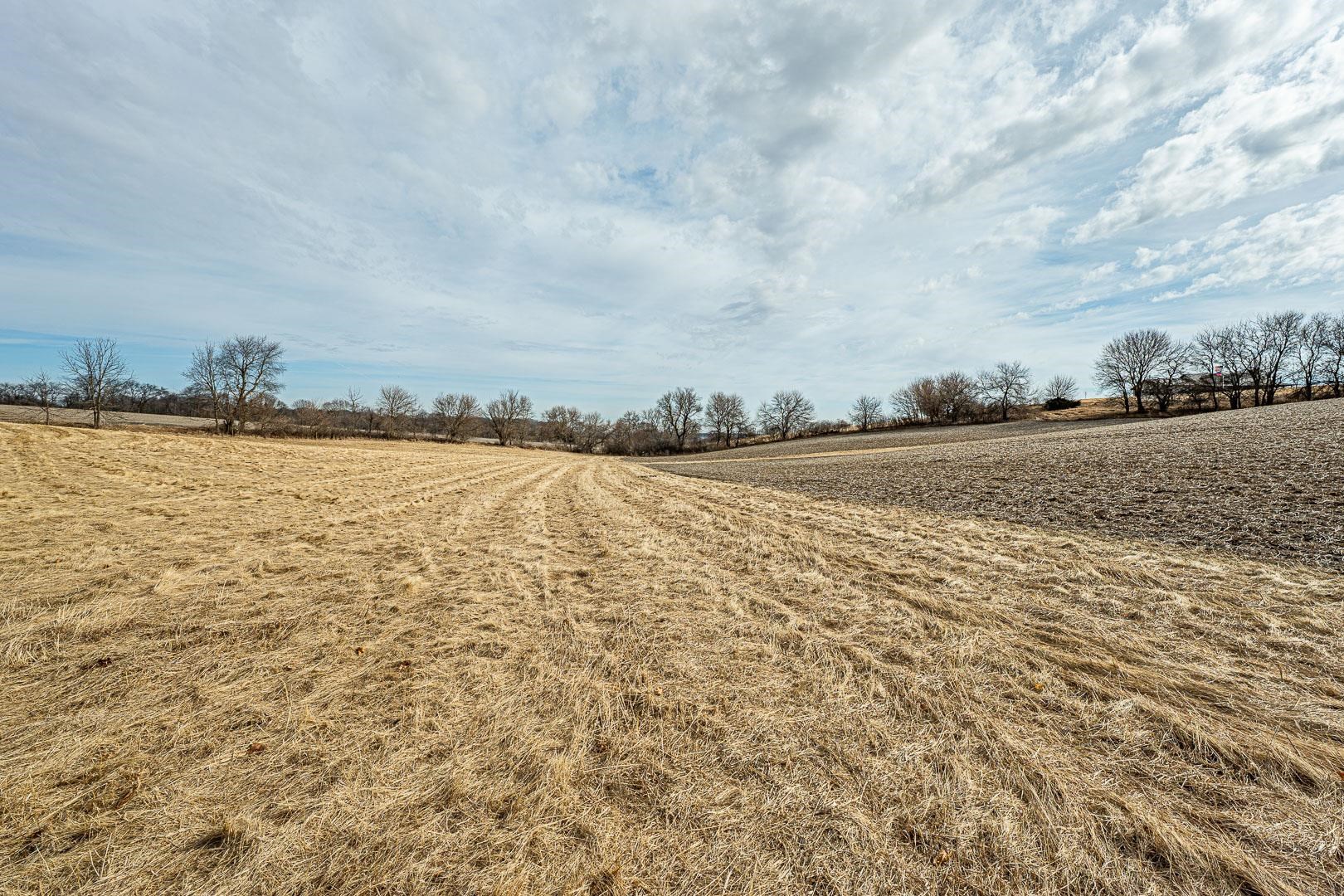 Lot 9 7.00 Acres Deerfield Monroe, WI 53566 - Photo 12 of 29