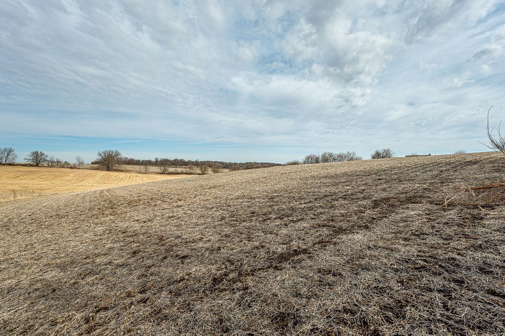 Lot 9 7.00 Acres Deerfield Monroe, WI 53566 - Photo 10 of 29