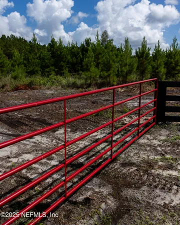 a view of a yard with wooden fence