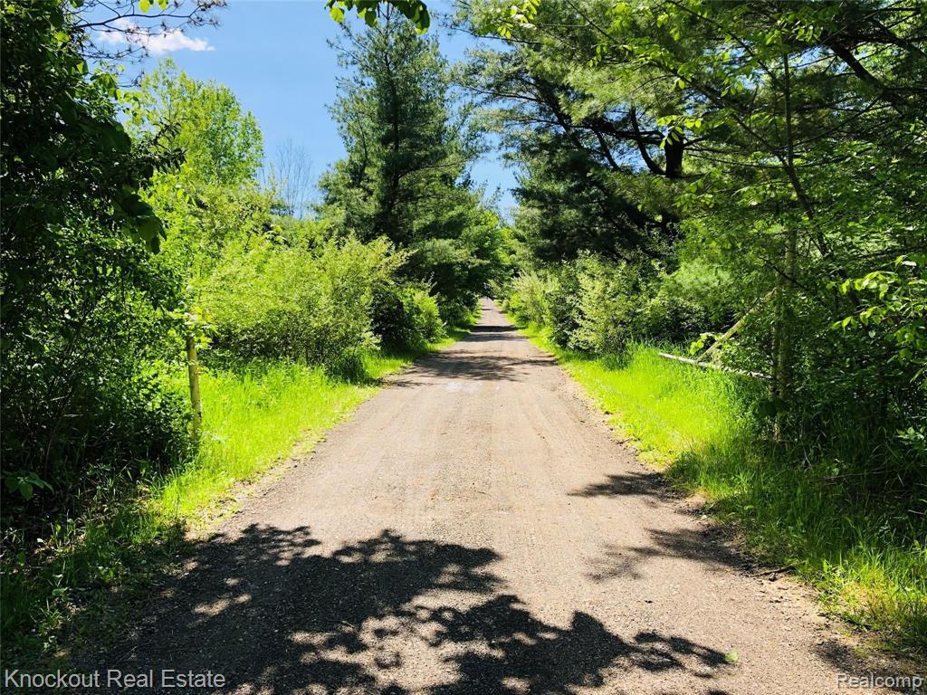 7076 Center Road Mayville, MI 48744 - Photo 24 of 33