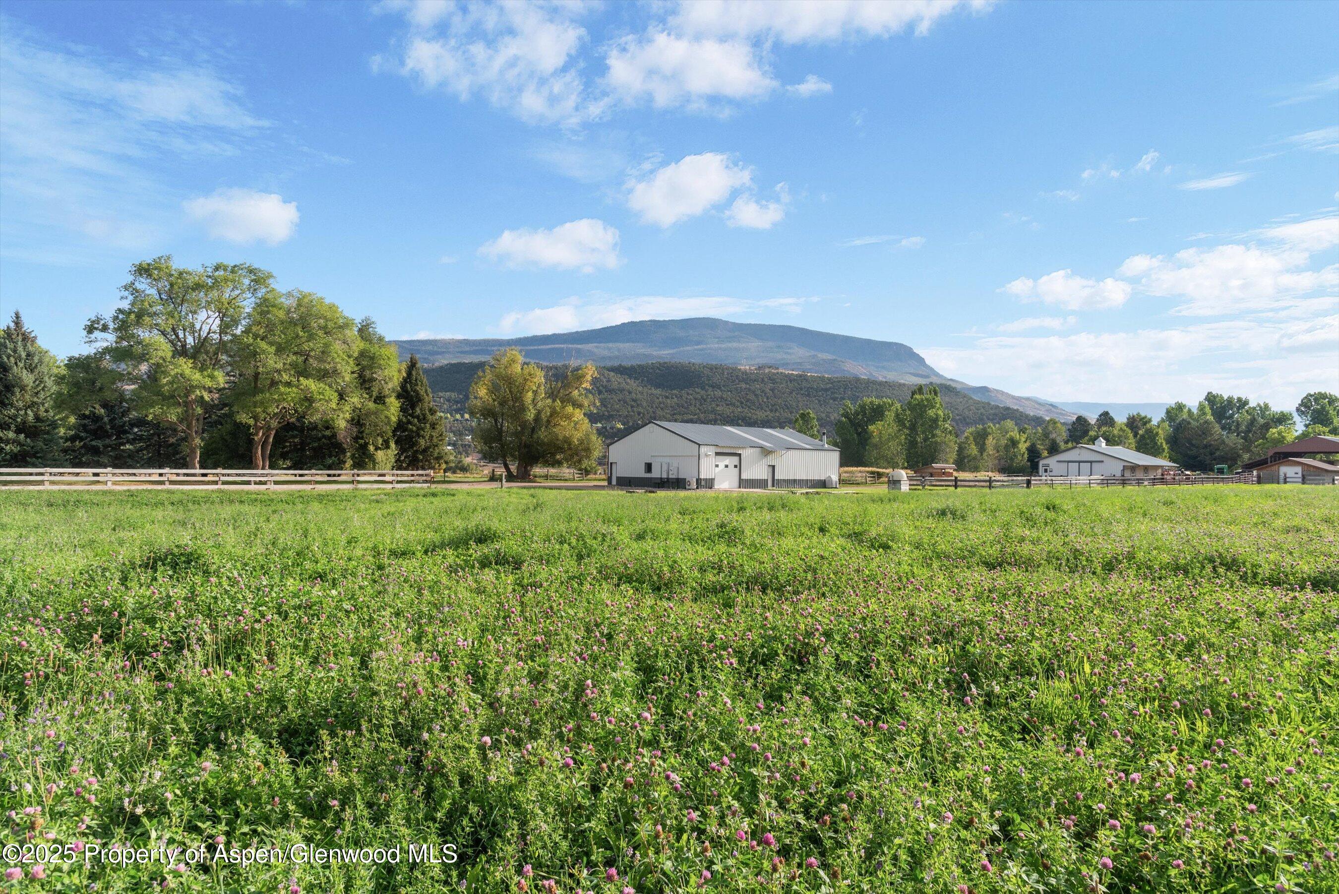 2700 Emma Road Basalt, CO 81621 - Photo 21 of 36 a view of a garden with an trees