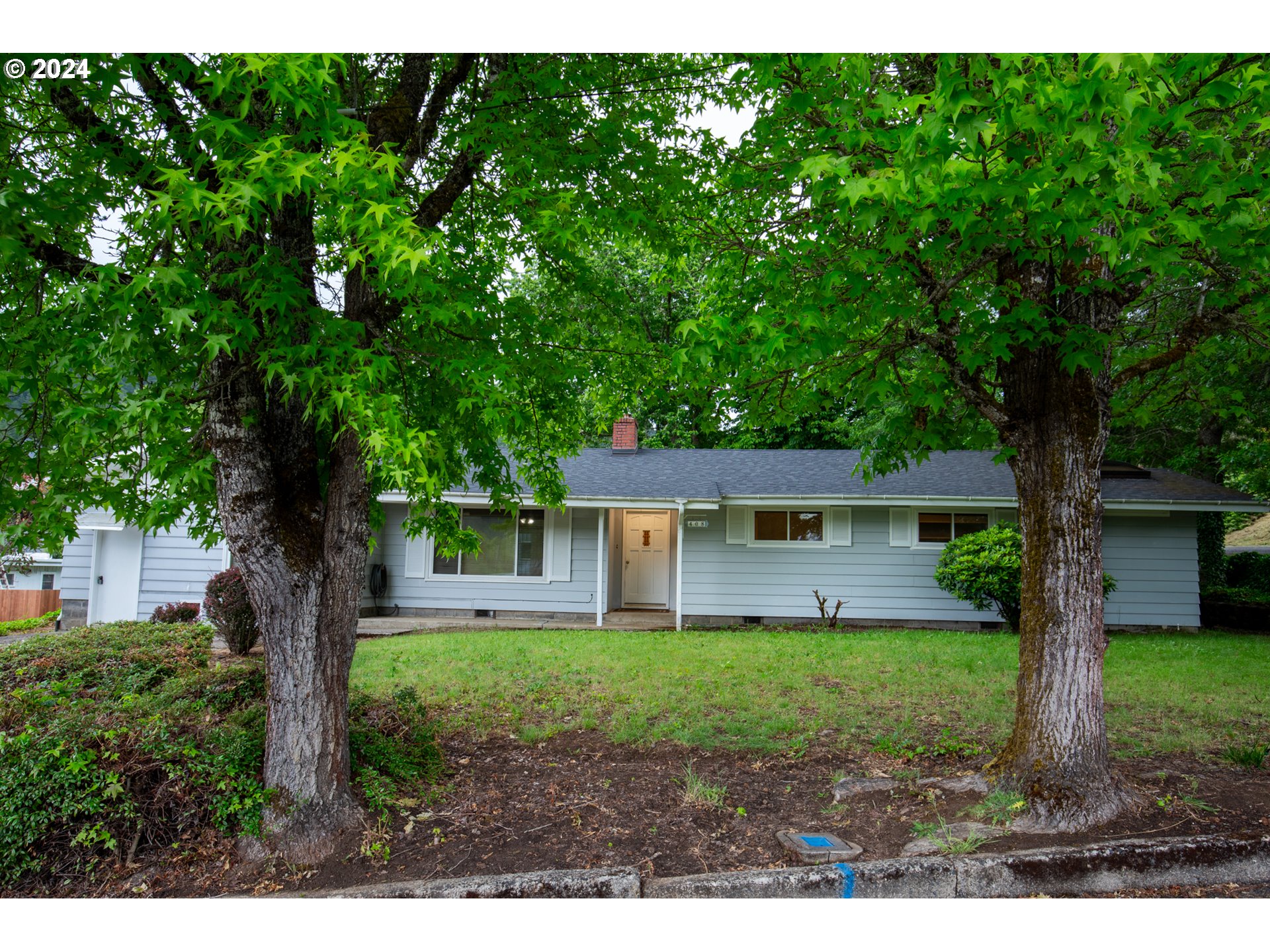 a house view with a garden space
