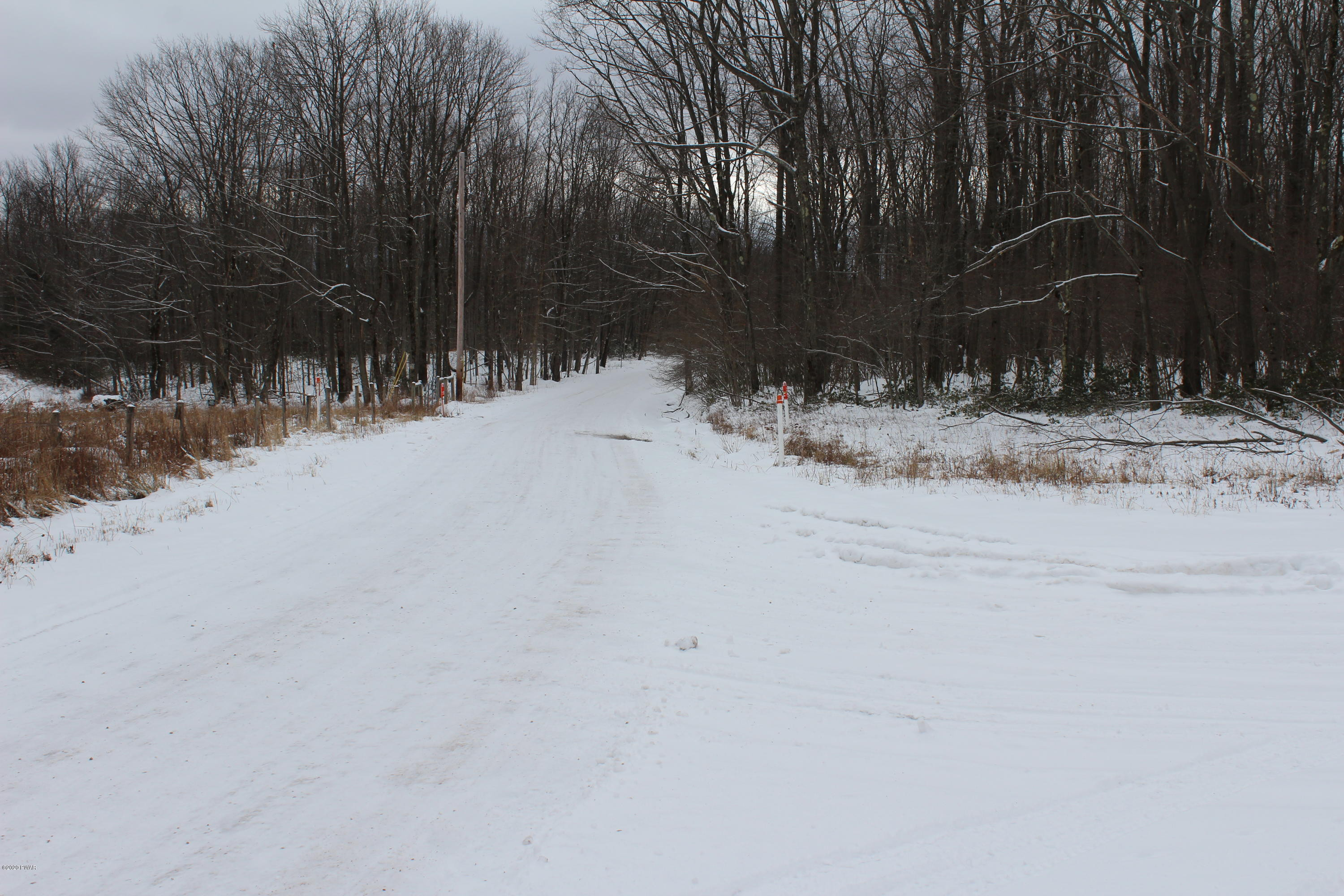 395 Brace Brook Road Forest City, PA 18421 - Photo 44 of 45