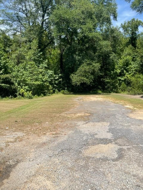 24 Briar Creek Road Pittsview, AL 36871 - Photo 27 of 43 Briar Creek Public Boat Ramp