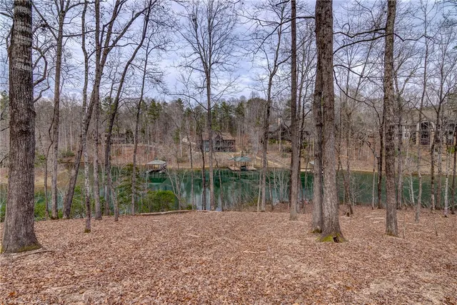 $309,000 | Lot 6 Grays Peak Drive, Salem, SC 29676