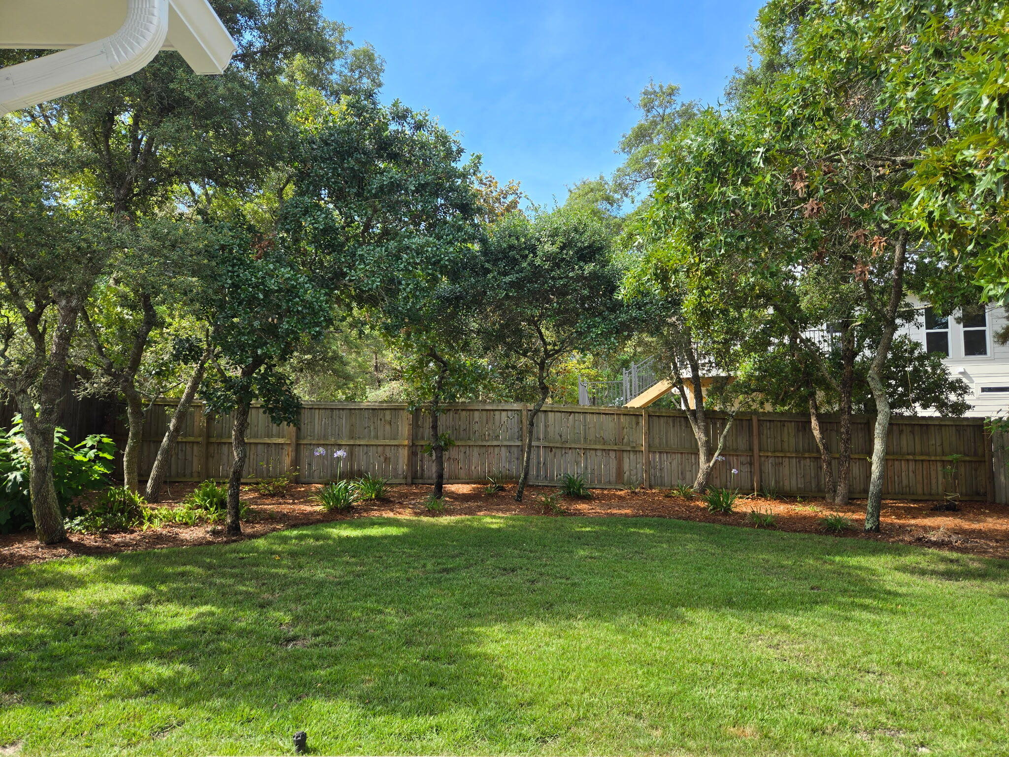 64 Spotted Dolphin Road Santa Rosa Beach, FL 32459 - Photo 26 of 43 a view of a backyard with a garden