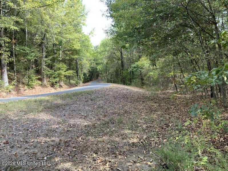 Hunters Chapel Road Sarah, MS 38665 - Photo 4 of 11 5095bf01-b19a-4edc-9579-2117b4bc728d
