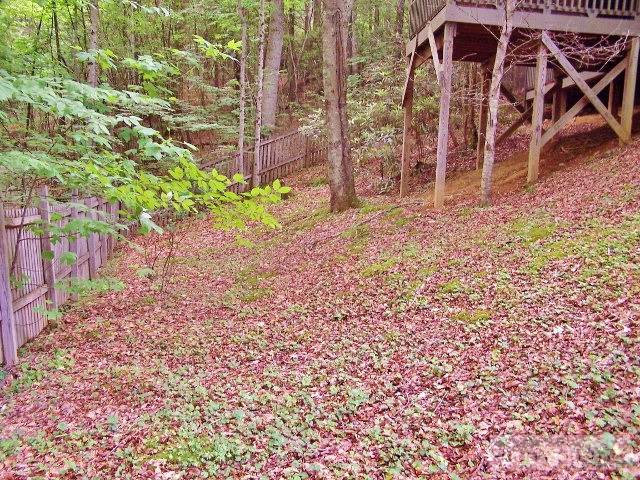633 Calloway Road Boone, NC 28607 - Photo 35 of 43 Gallery Image 35