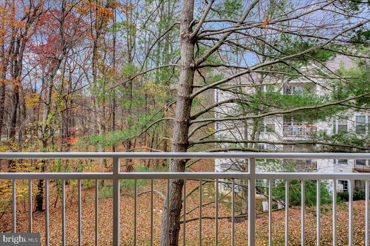 4828 Stone Shop Circle, Unit 4828 Owings Mills, MD 21117 - Photo 3 of 18