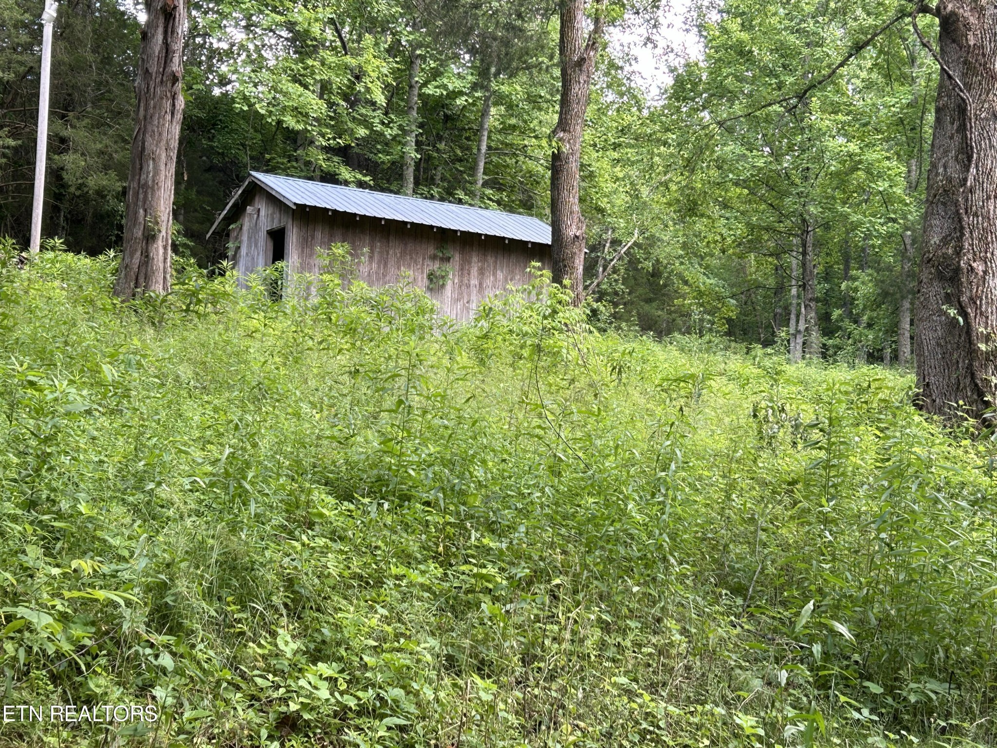 4365 Reed Creek Road Pall Mall, TN 38577 - Photo 9 of 9 Gallery Image 9
