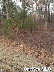 Middle Country Road Middle Island, NY 11953 - Photo 3 of 7 a view of a yard with trees in the background