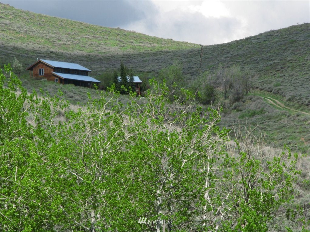 72 Gun Sight Pass Road Winthrop, WA 98862 - Photo 1 of 15 Gallery Image 1