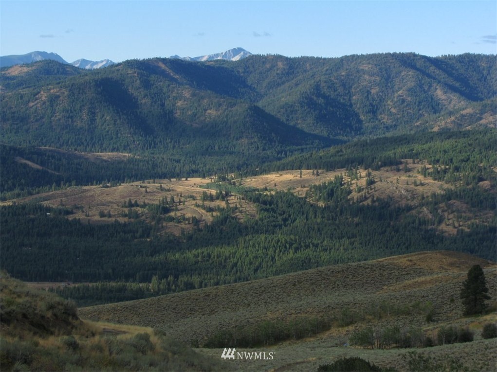 72 Gun Sight Pass Road Winthrop, WA 98862 - Photo 4 of 15 Gallery Image 4