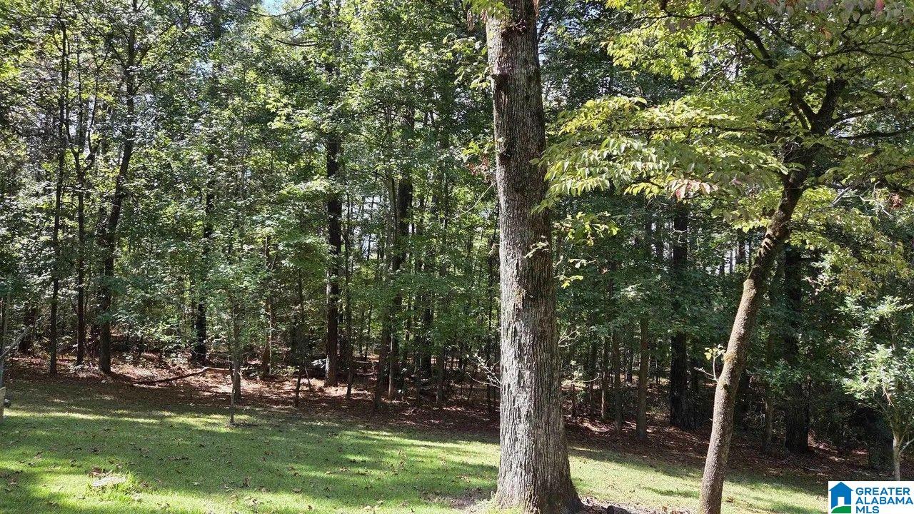 237 Dragline Lane Leeds, AL 35094 - Photo 3 of 18