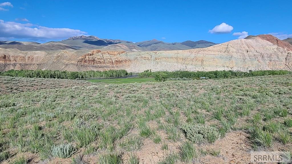 6 Homestead Trail Challis, ID 83226 - Photo 26 of 36