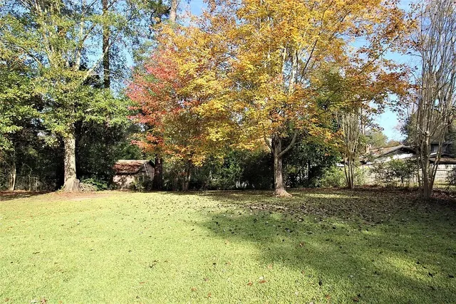 a house view with a trees