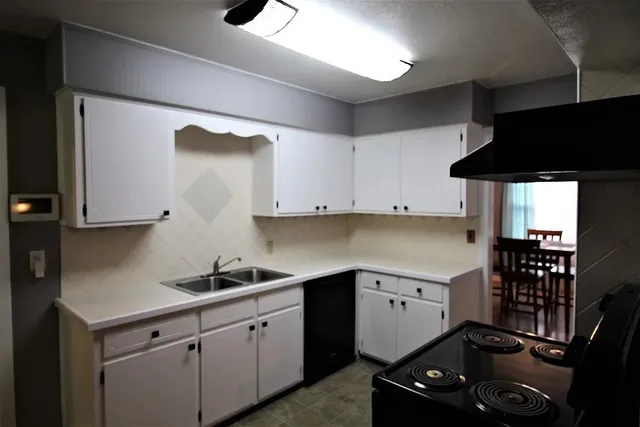 a kitchen with a sink a stove and cabinets