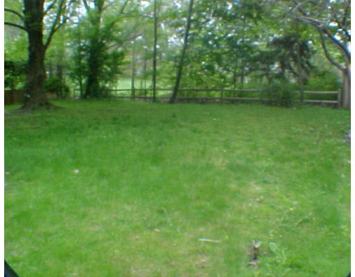 233 Beverly Road Brookline, MA 02467 - Photo 5 of 5