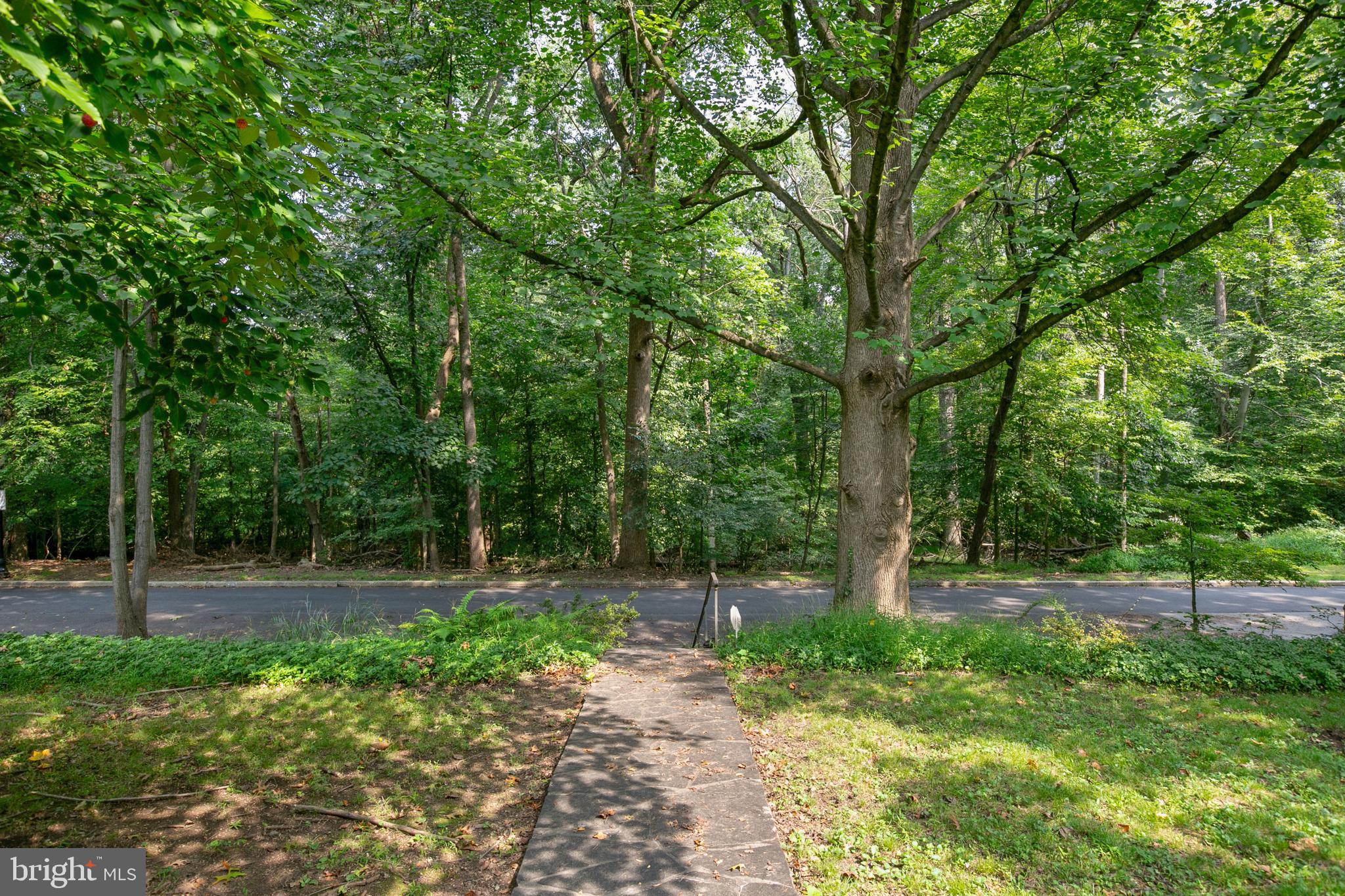 4619 Briarclift Road Baltimore, MD 21229 - Photo 2 of 39 Full Panoramic view of Leakin Park