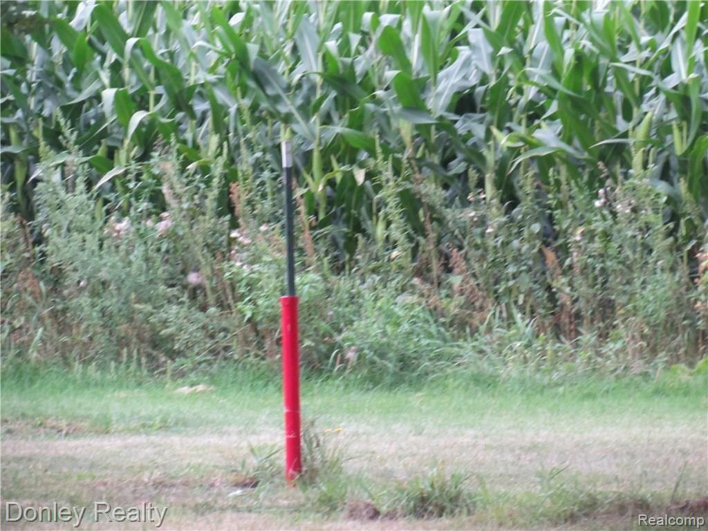 4630 Marton Road Kingston, MI 48741 - Photo 29 of 43 IMG_7826.JPG