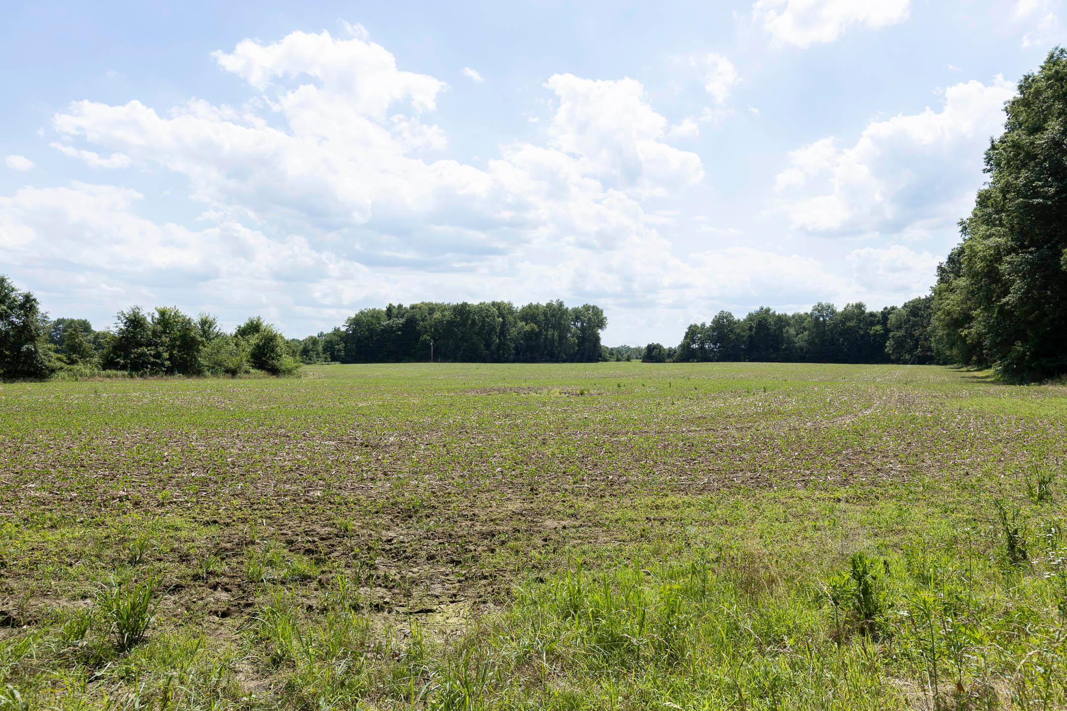 16357 Hartford Road Sunbury, OH 43074 - Photo 16 of 27 16357 Hartford Road - 016
