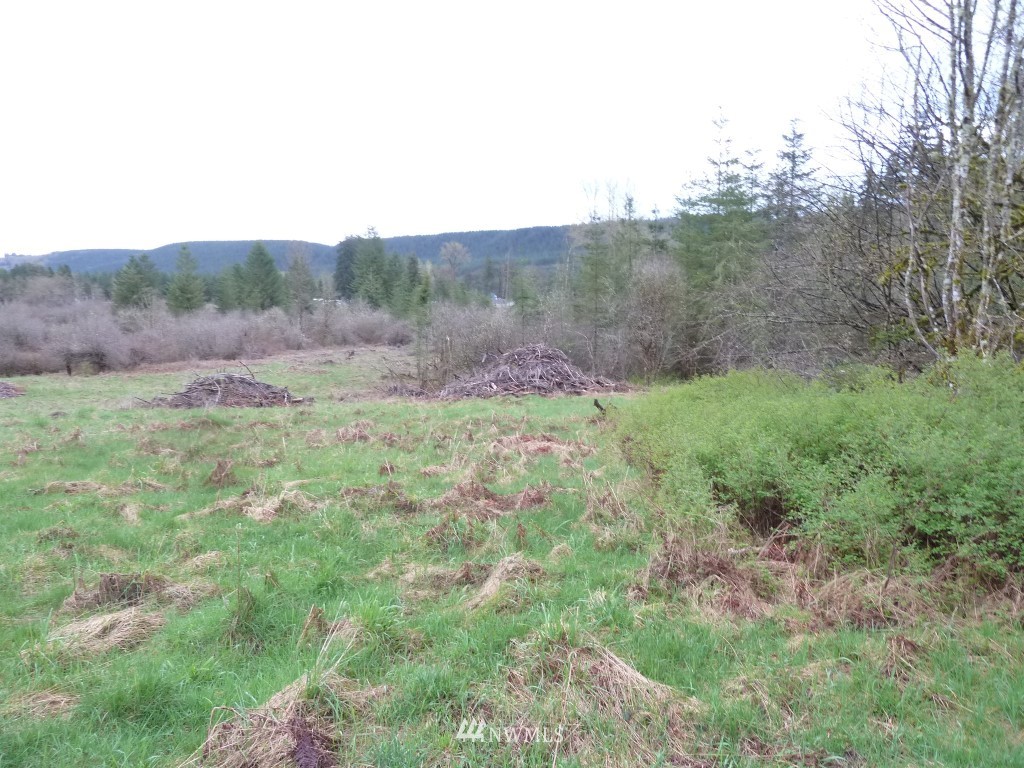 0 Hockett Road Onalaska, WA 98570 - Photo 3 of 9 Gallery Image 3