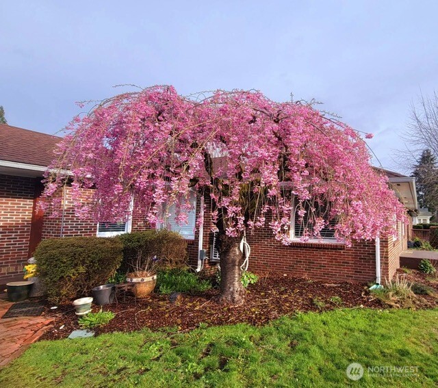 809 K Street Centralia, WA 98531 - Photo 35 of 35