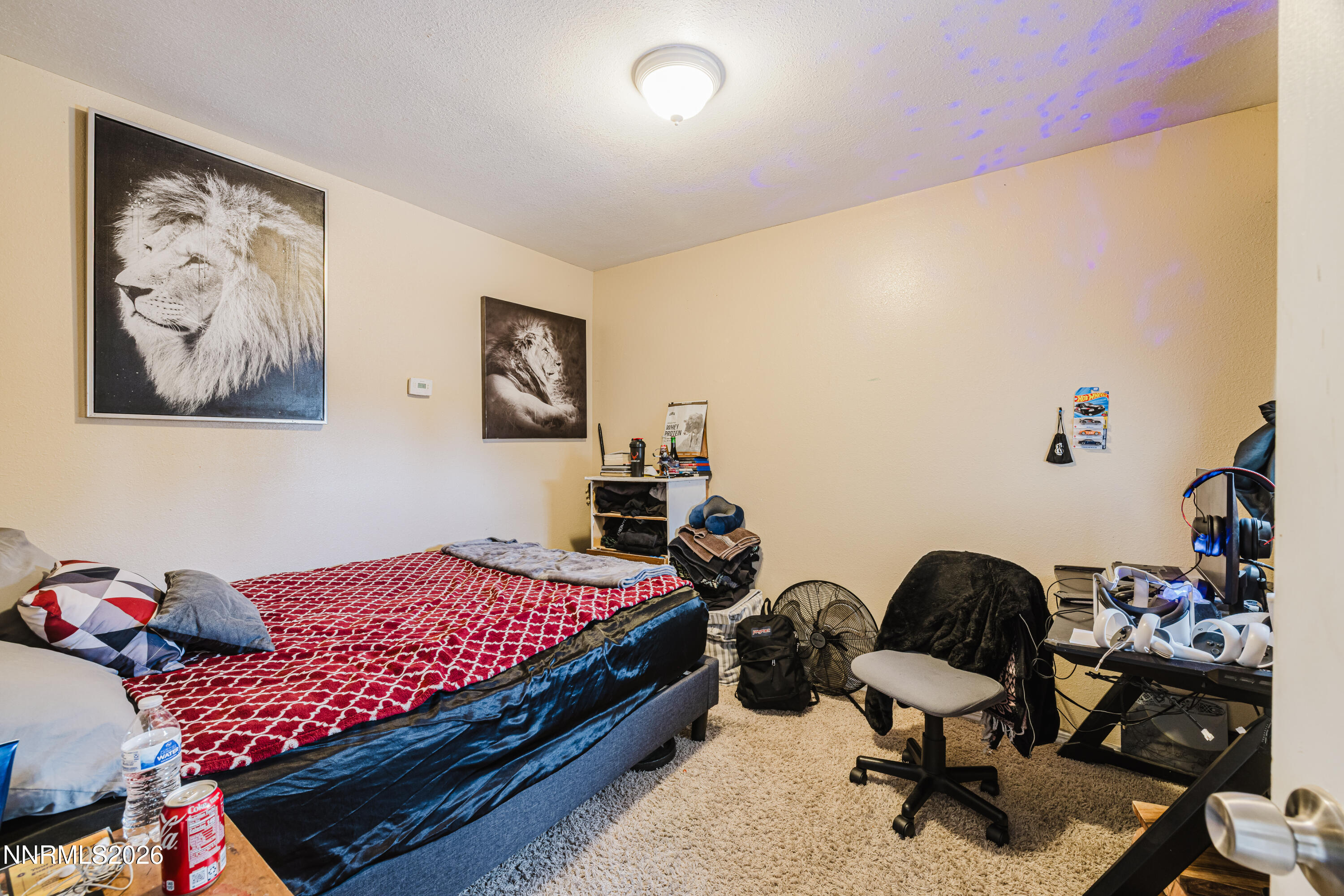 189 West Ash Street Elko, NV 89801 - Photo 19 of 50 24 (1)