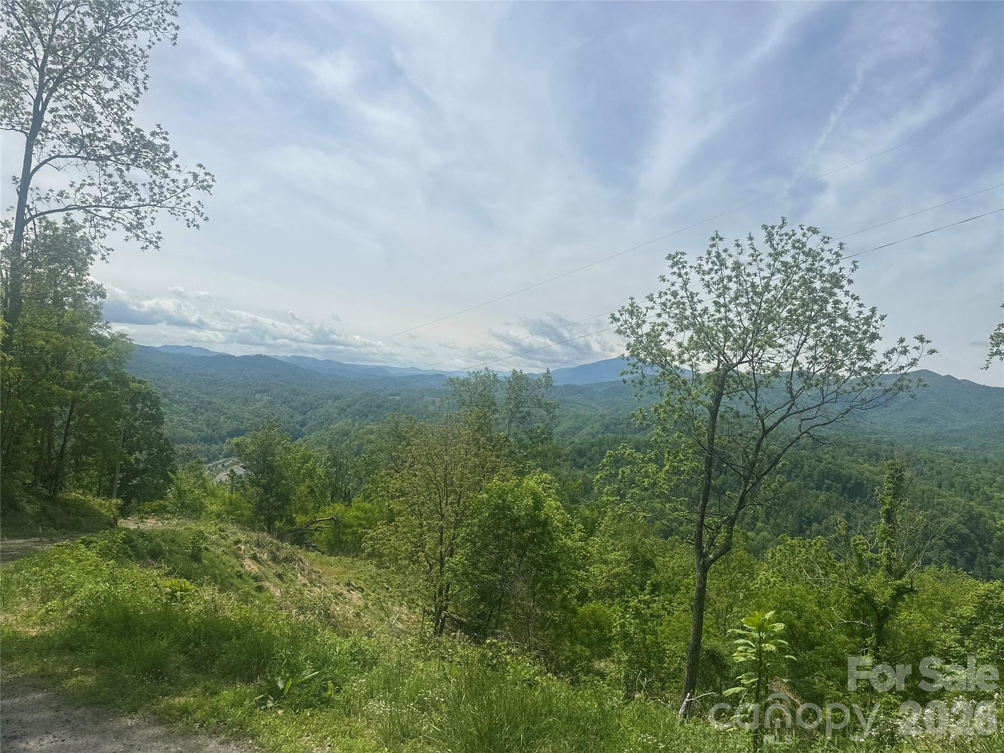 0 John Sparks Road Bakersville, NC 28705 - Photo 1 of 18 a view of a yard with plants and large trees