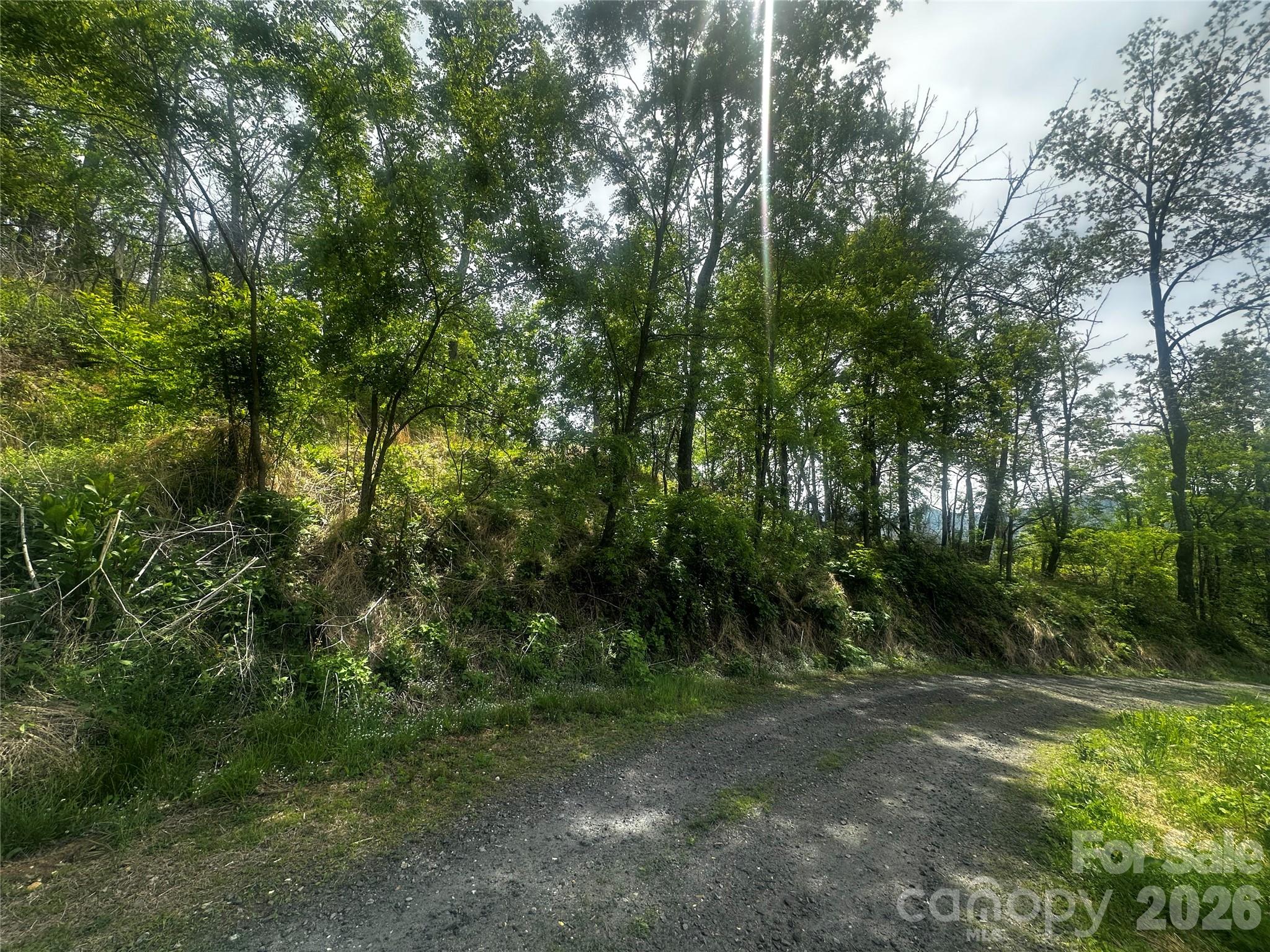 0 John Sparks Road Bakersville, NC 28705 - Photo 11 of 18 a view of outdoor space and trees all around