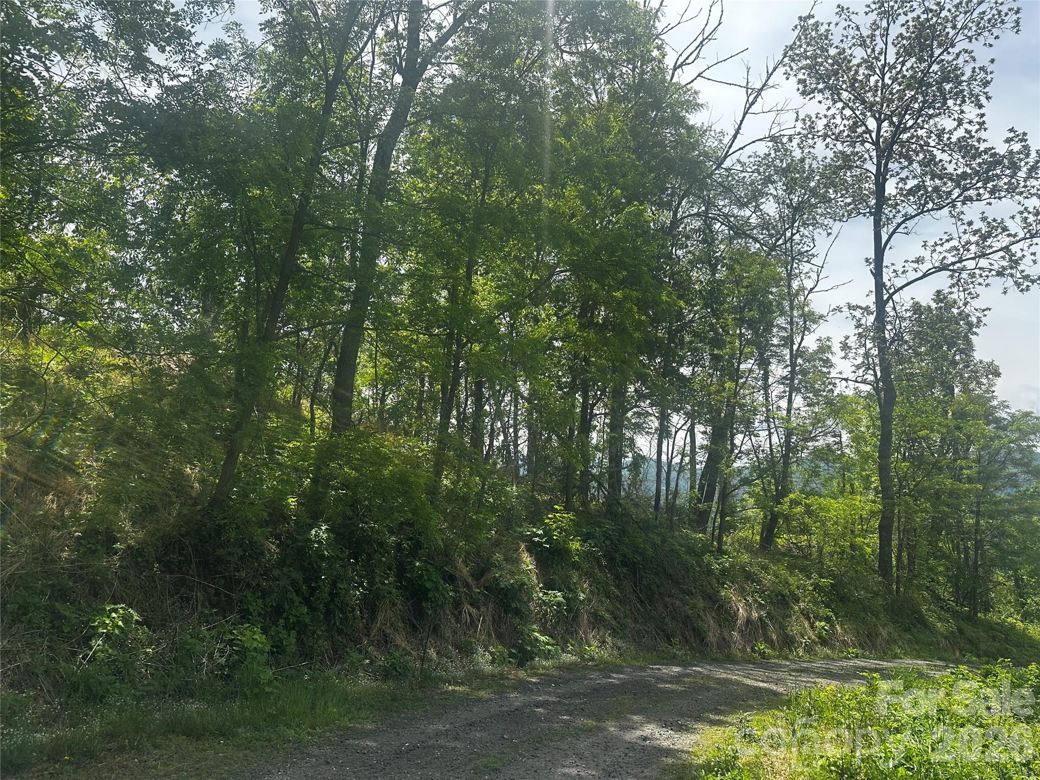 0 John Sparks Road Bakersville, NC 28705 - Photo 18 of 18 a view of forest