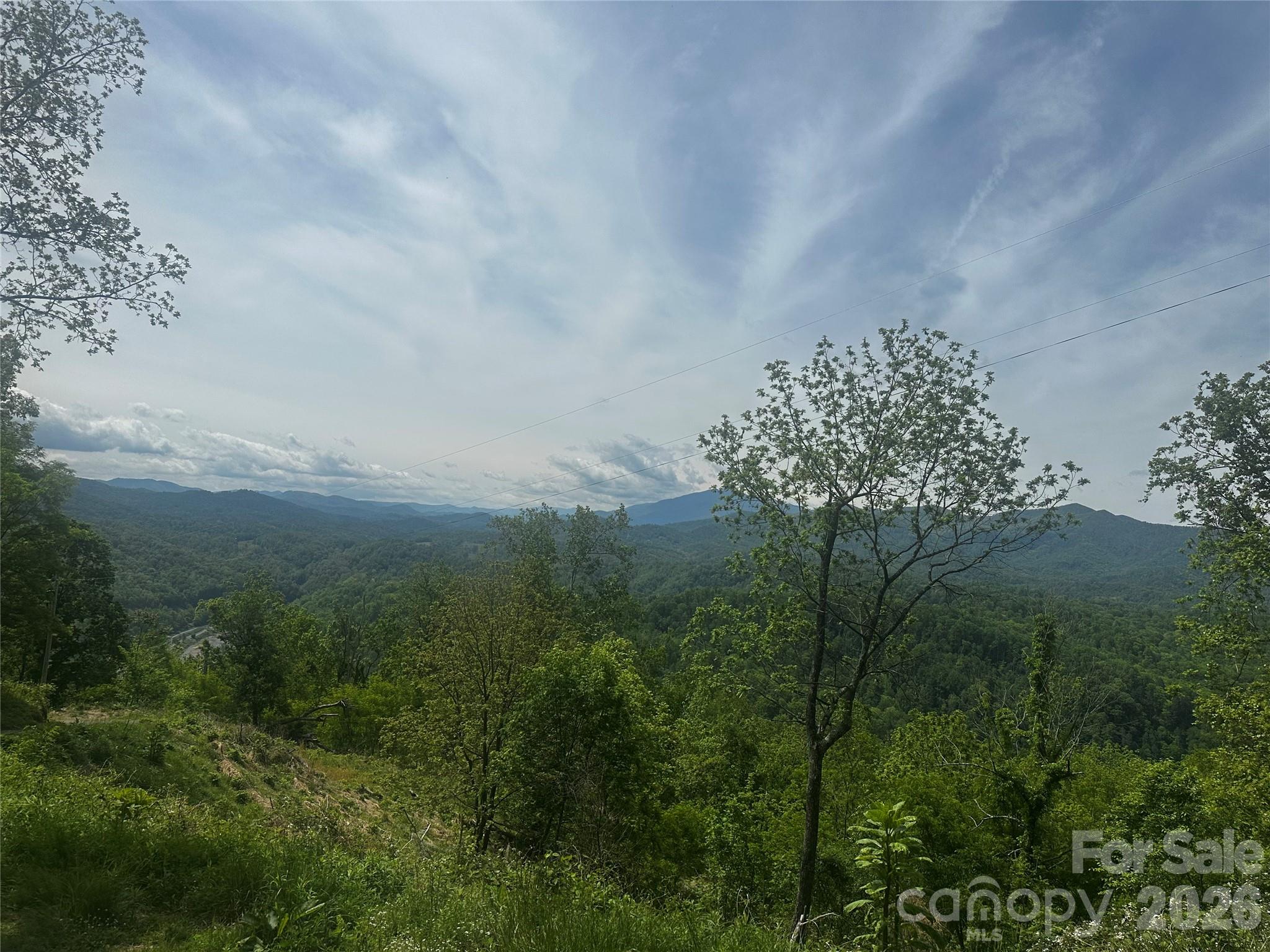 0 John Sparks Road Bakersville, NC 28705 - Photo 2 of 18 a view of a garden