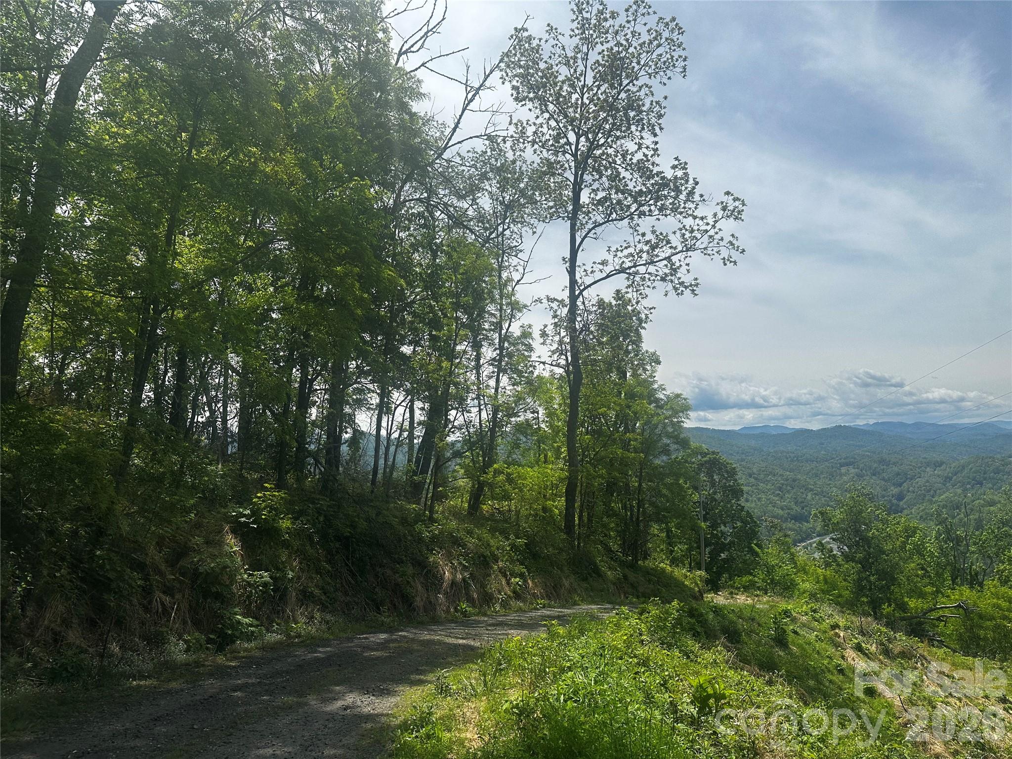 0 John Sparks Road Bakersville, NC 28705 - Photo 3 of 18