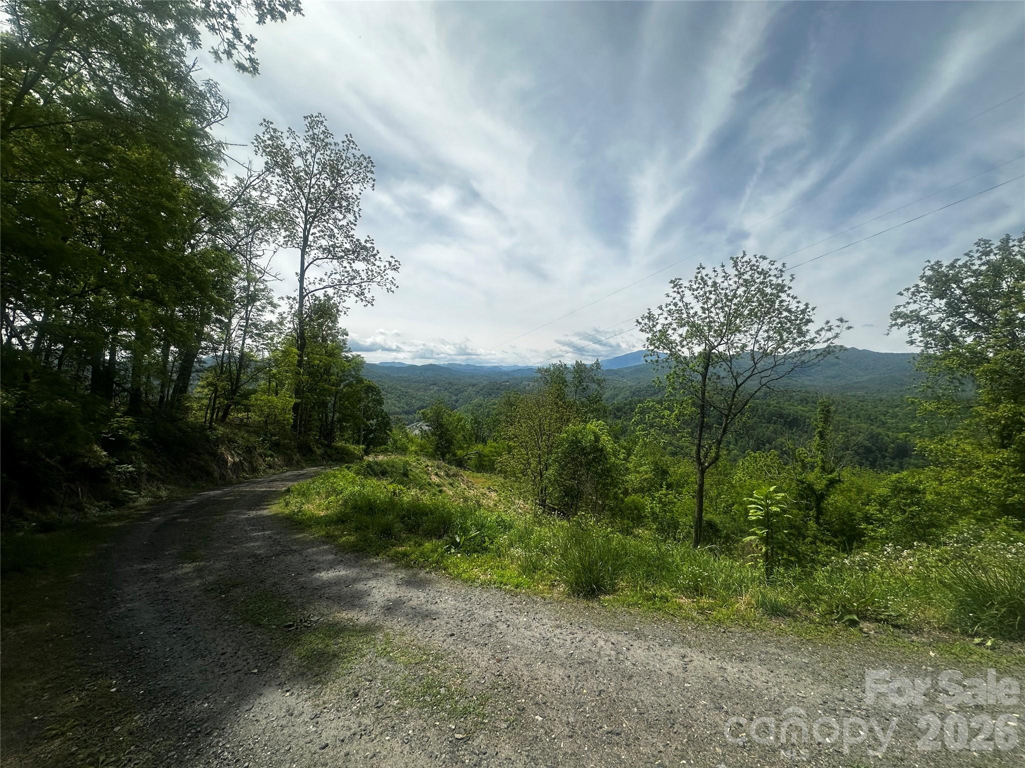 0 John Sparks Road Bakersville, NC 28705 - Photo 7 of 18 a view of a yard