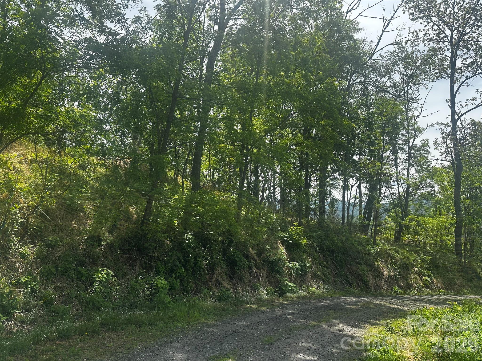 0 John Sparks Road Bakersville, NC 28705 - Photo 9 of 18 a view of a forest with trees