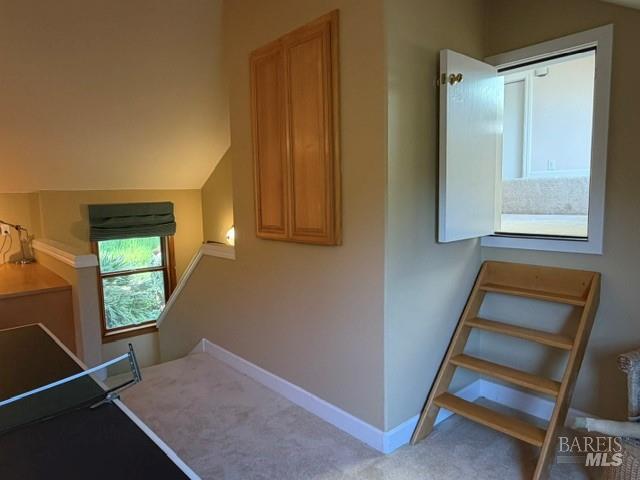 16875 Coleman Valley Road Occidental, CA 95465 - Photo 53 of 78
