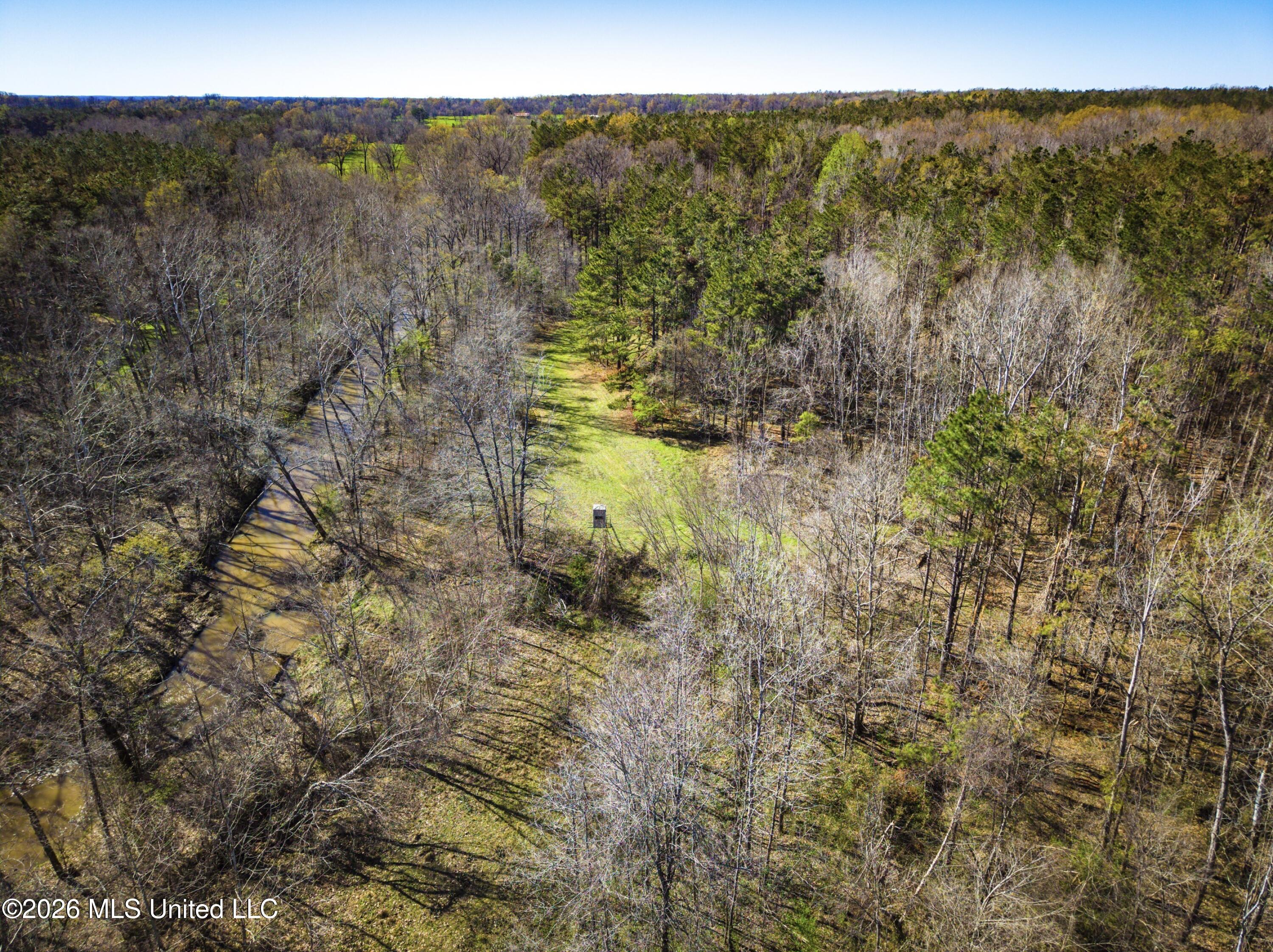 Shook Road Cascilla, MS 38920 - Photo 4 of 15 4