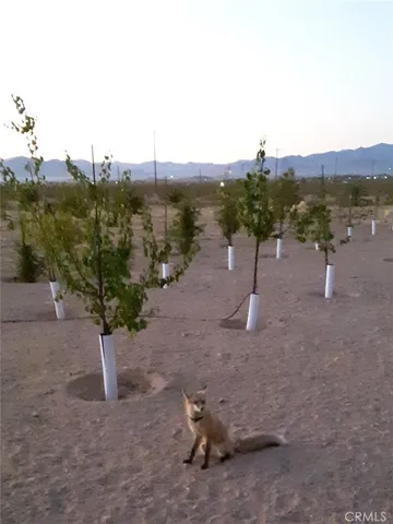 $1,988,880 | 9025 Camp Rock Road, Lucerne Valley, CA 92356