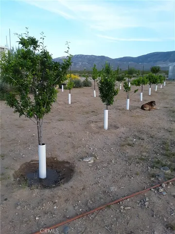 $1,988,880 | 9025 Camp Rock Road, Lucerne Valley, CA 92356