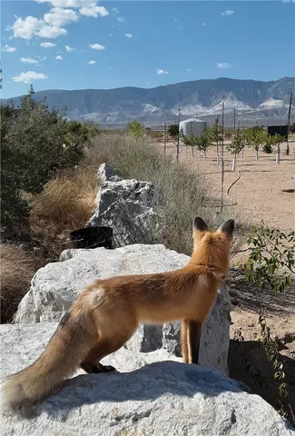 $1,988,880 | 9025 Camp Rock Road, Lucerne Valley, CA 92356