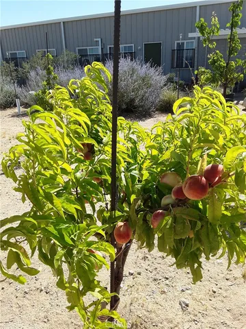 $1,988,880 | 9025 Camp Rock Road, Lucerne Valley, CA 92356