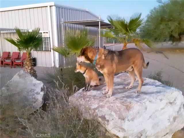 $1,988,880 | 9025 Camp Rock Road, Lucerne Valley, CA 92356