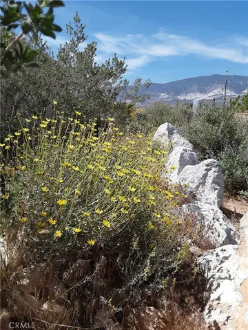 $1,988,880 | 9025 Camp Rock Road, Lucerne Valley, CA 92356