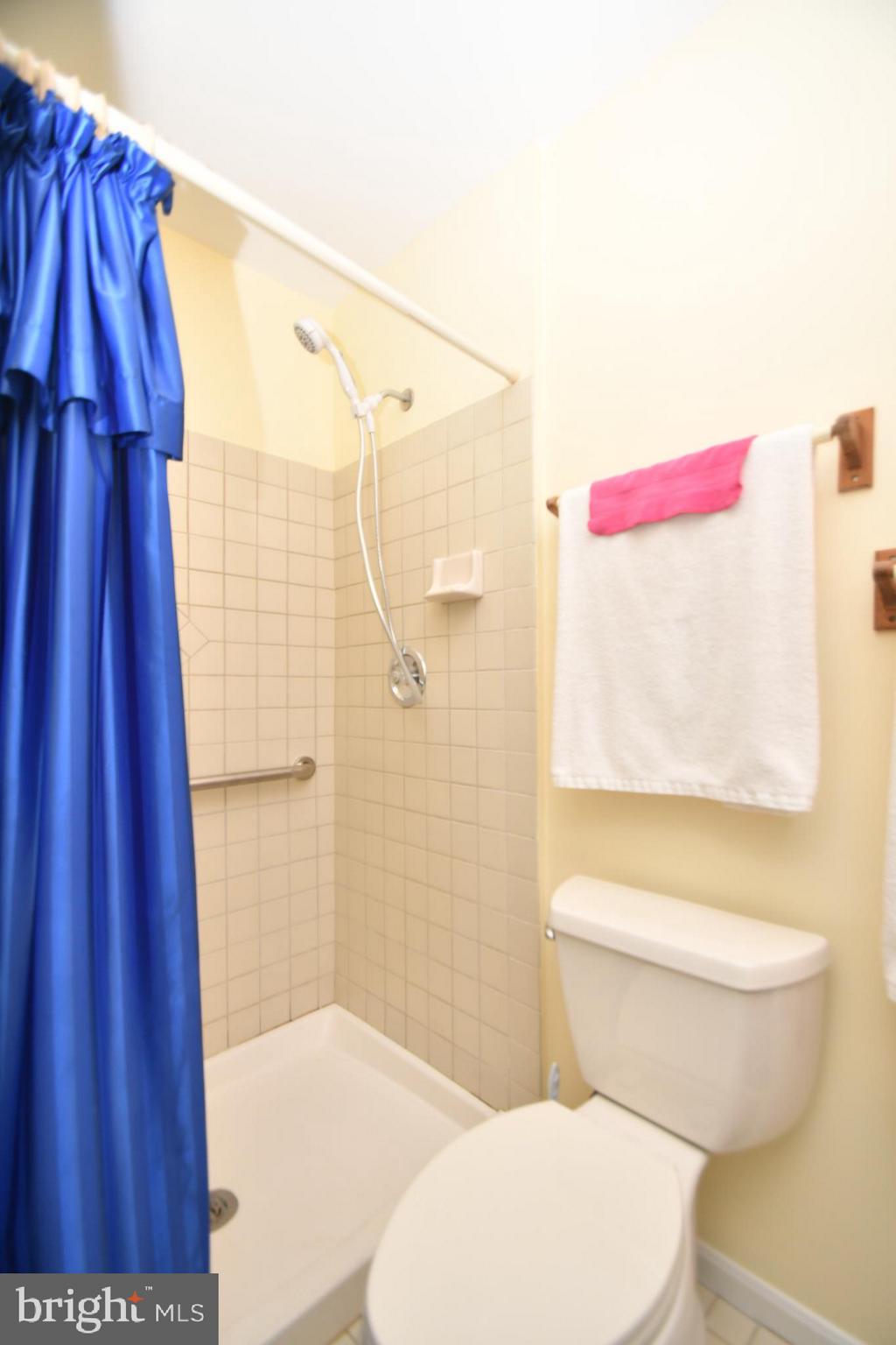 4528 Oak Ridge Drive Street, MD 21154 - Photo 12 of 32 Master Bath Room