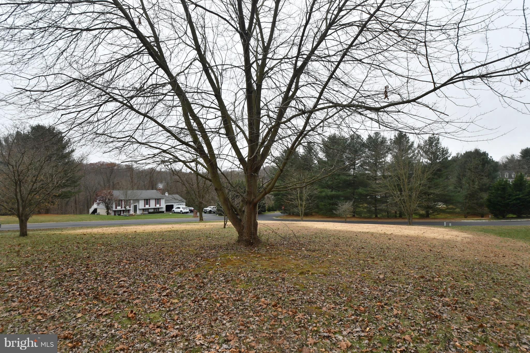 4528 Oak Ridge Drive Street, MD 21154 - Photo 31 of 32 Outside View
