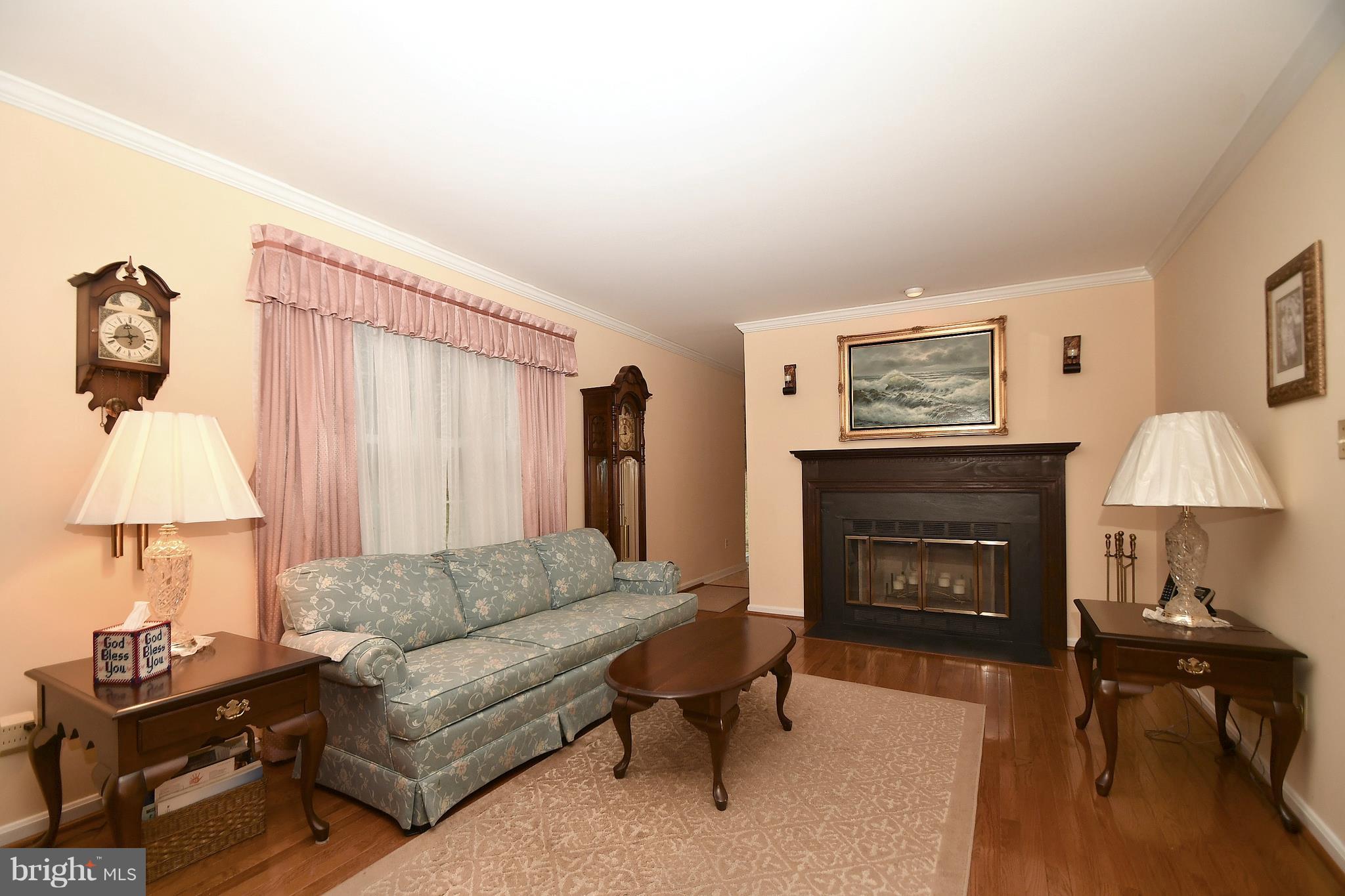 4528 Oak Ridge Drive Street, MD 21154 - Photo 5 of 32 Fireplace