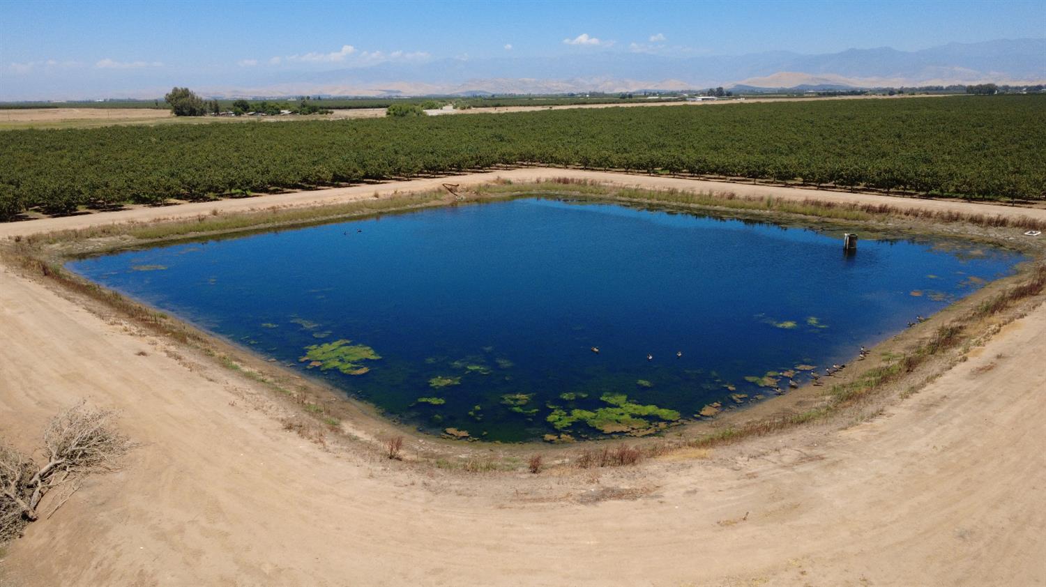 0 Ave 24 & Rd 208 Terra Bella, CA 93270 - Photo 2 of 6